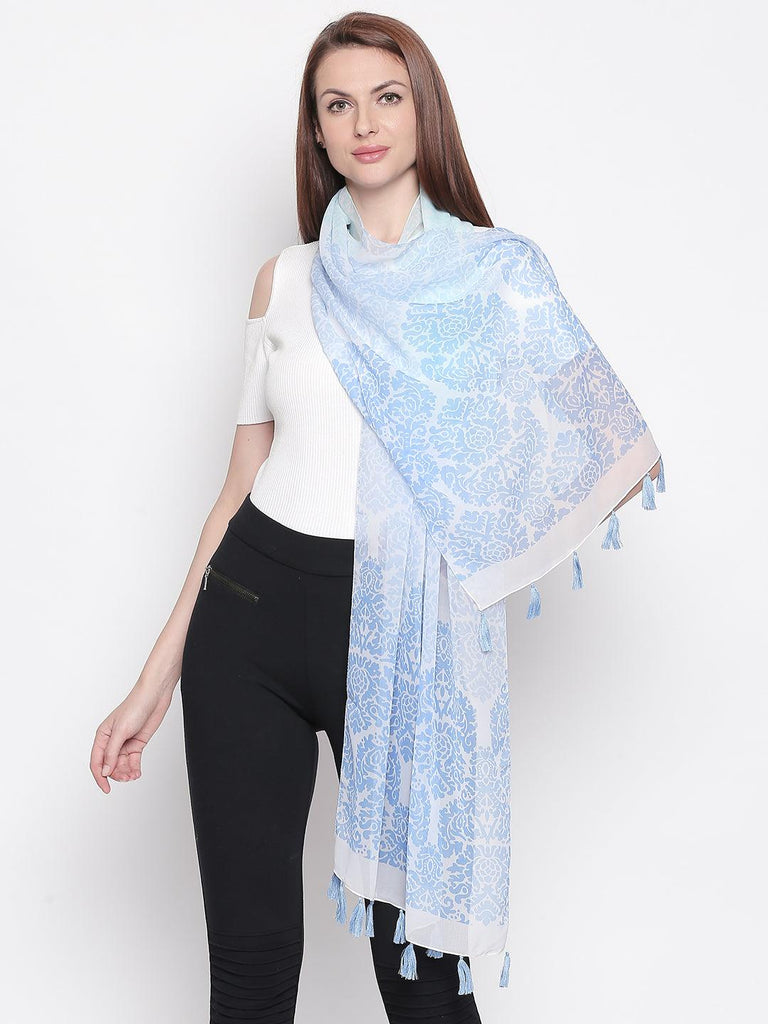 Women Blue Printed Stole-Stoles & Scarves-StyleQuotient